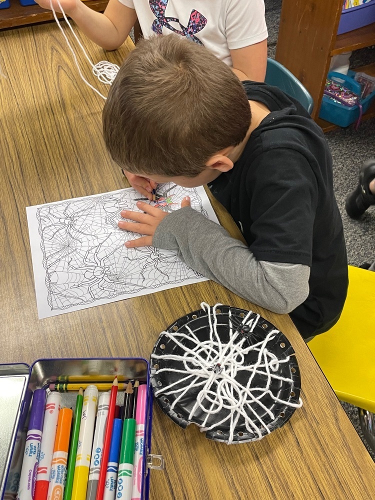spider web and coloring spiders